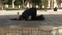 Muslim praying at the Temple Mount
